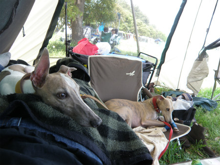 2012042913.jpg