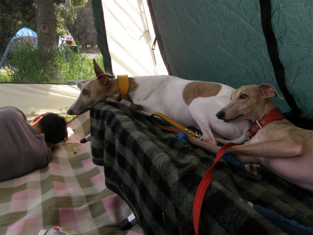 2012042914.jpg