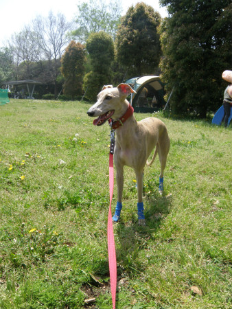 2012042915.jpg