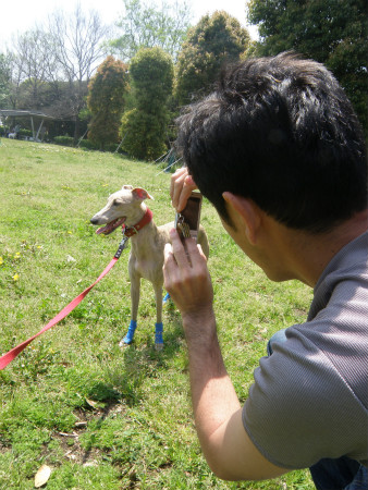 2012042916.jpg