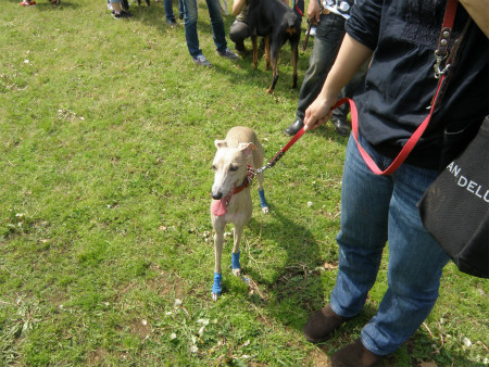 2012042917.jpg
