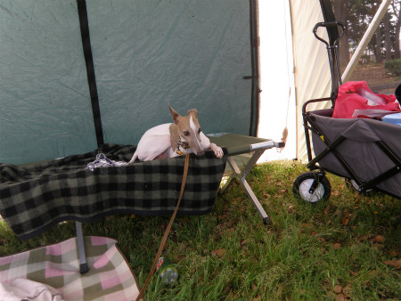 2012042918.jpg