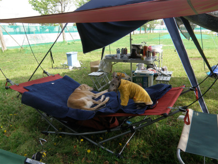 2012042919.jpg