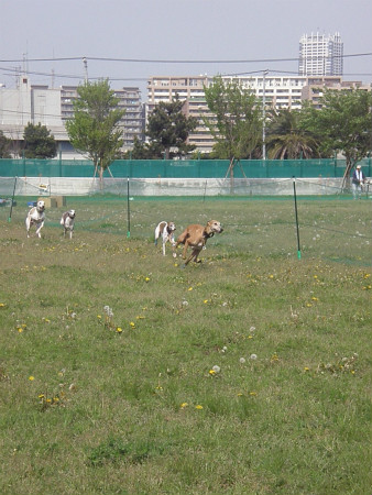 2012042920.jpg
