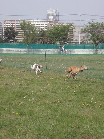 2012042921.jpg