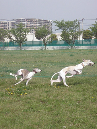 2012042922.jpg