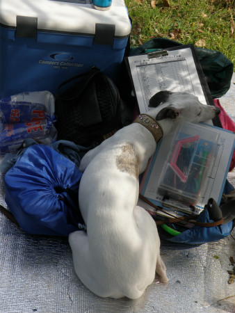 2012042923.jpg