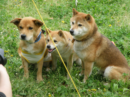2012042924.jpg
