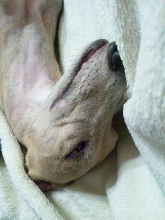 2012042925.jpg