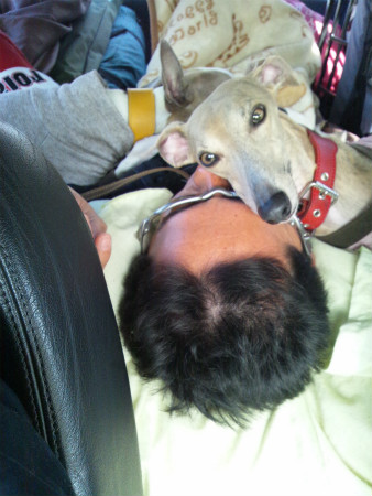2012042926.jpg