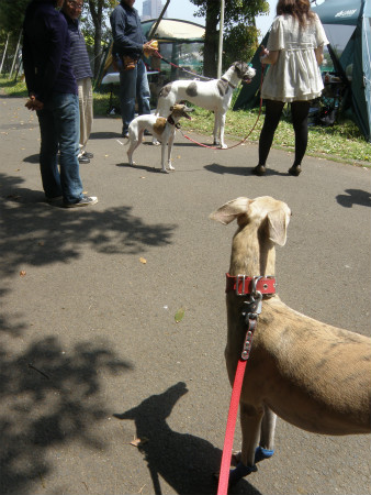 2012042927.jpg