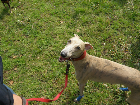 2012042928.jpg