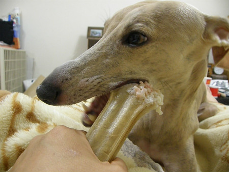 2012050201.jpg