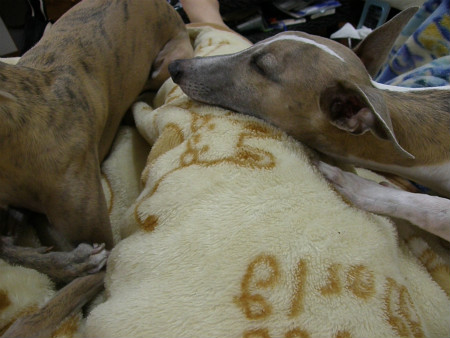 2012050202.jpg