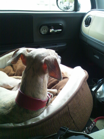 2012050601.jpg