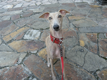 2012051001.jpg