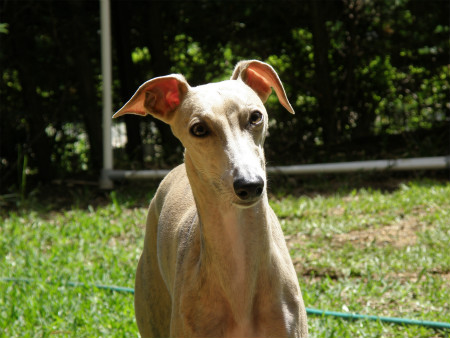 2012051002.jpg