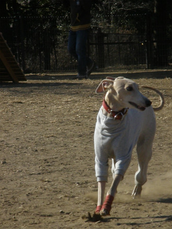 2012051004.jpg
