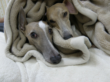 2012051005.jpg
