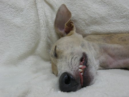 2012051006.jpg