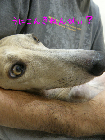 2012051201.jpg