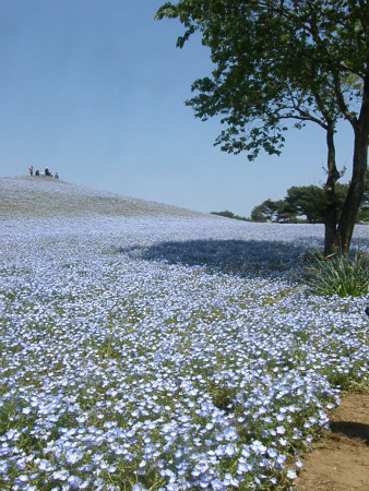 2012051301.jpg