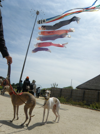 2012051302.jpg