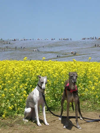 2012051303.jpg