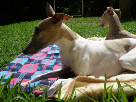 2012051901.jpg