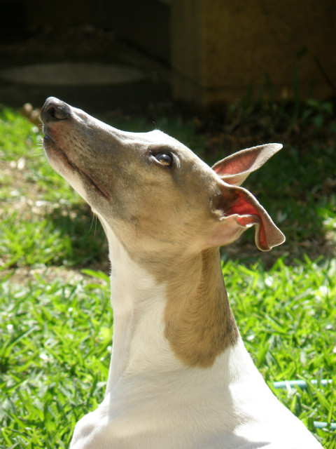 2012052101.jpg