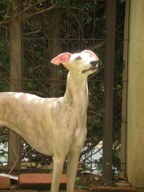 2012052102.jpg