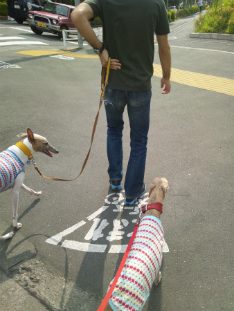2012052601.jpg