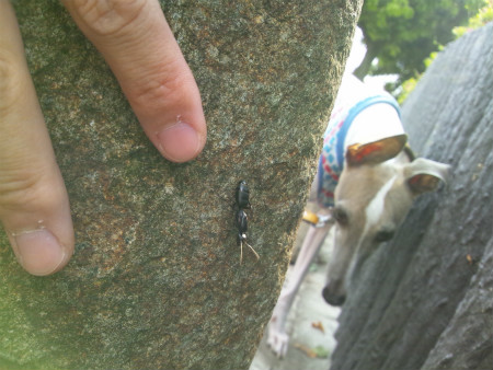 2012052602.jpg