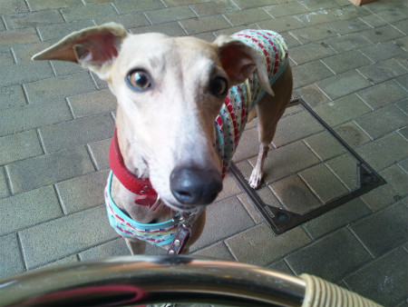 2012052604.jpg