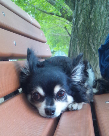 2012060201.jpg