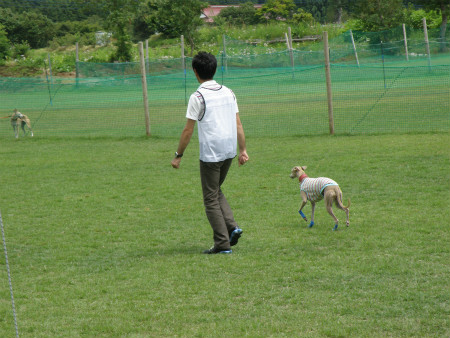 2012060303.jpg