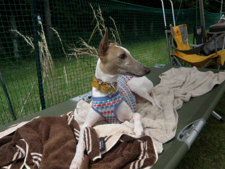 2012060304.jpg