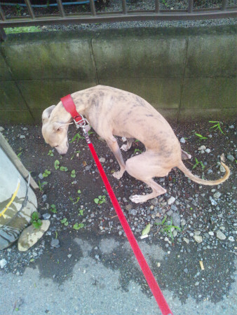 2012062003.jpg