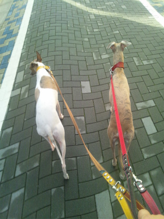 2012062004.jpg