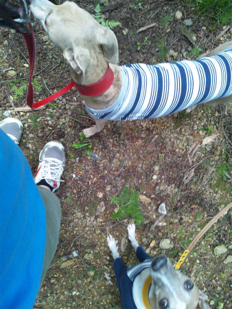 2012062311.jpg