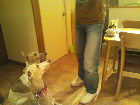 2012070801.jpg