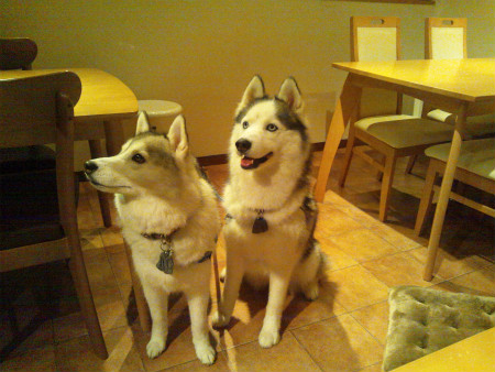2012070802.jpg
