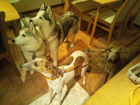 2012070803.jpg