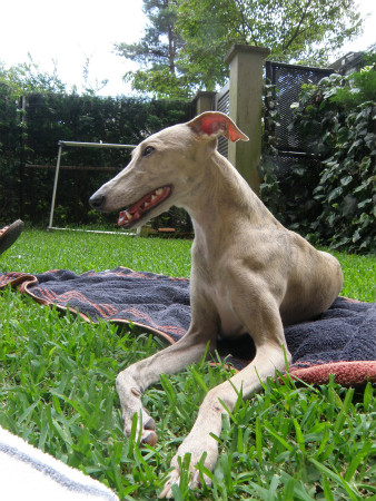2012071502.jpg