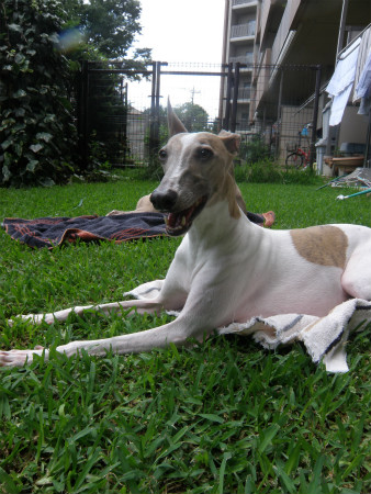 2012071503.jpg
