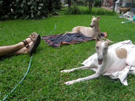 2012071504.jpg