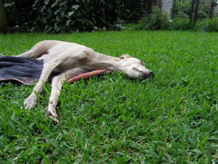 2012071505.jpg