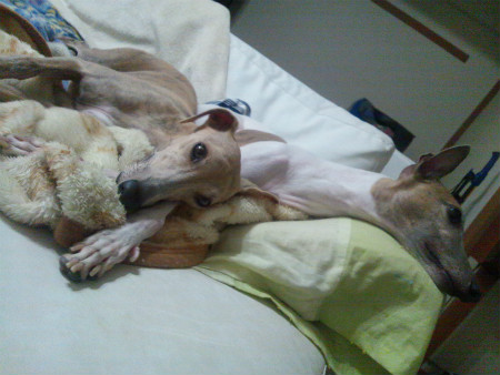 2012072201.jpg