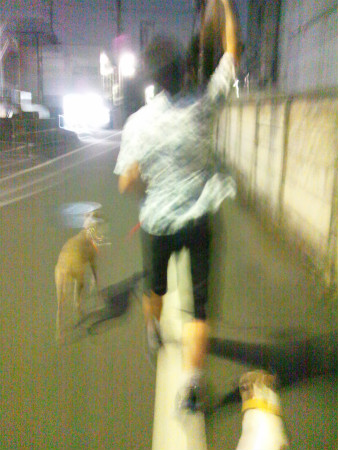 2012072802.jpg