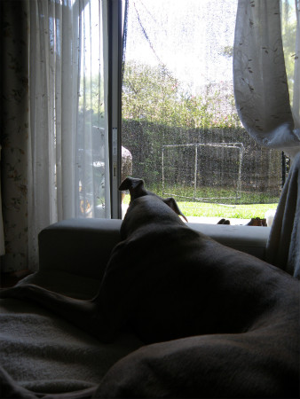 2012072901.jpg